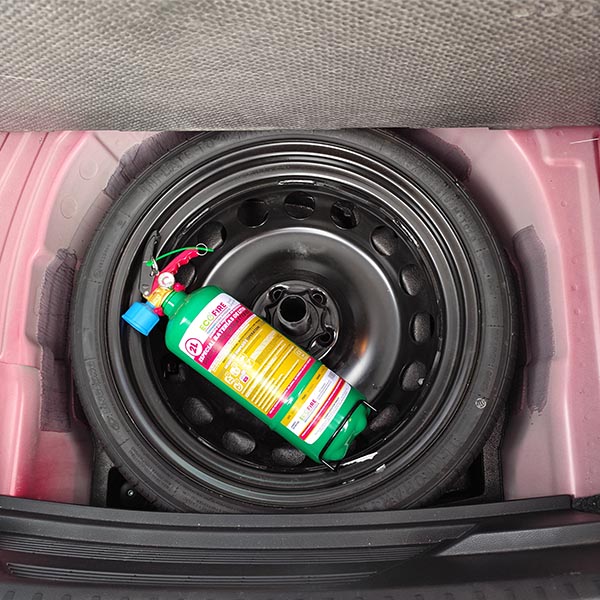 ECOFIRE EXT002G GREEN 2 L + SOPORTE